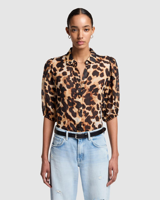 Leopard